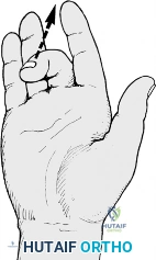 Clinical Image