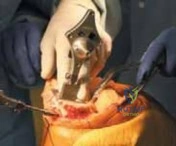 Clinical Image