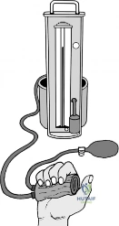 Clinical Image