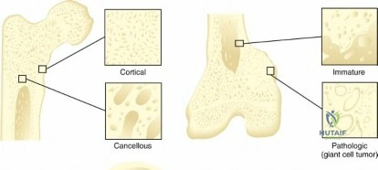 Clinical Image