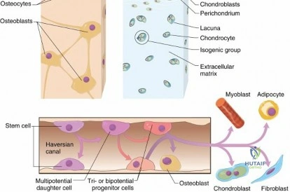 Clinical Image