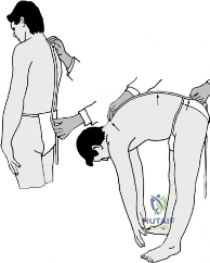 Clinical Image