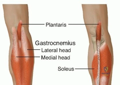 Clinical Image