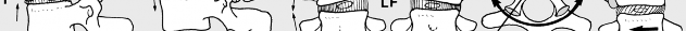 Clinical Image