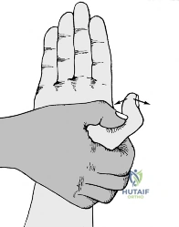 Clinical Image
