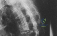 Clinical Image