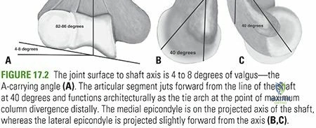 Clinical Image