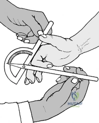 Clinical Image