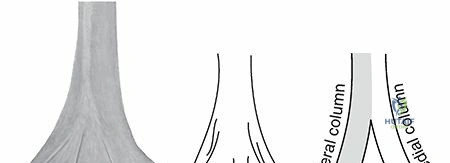 Clinical Image