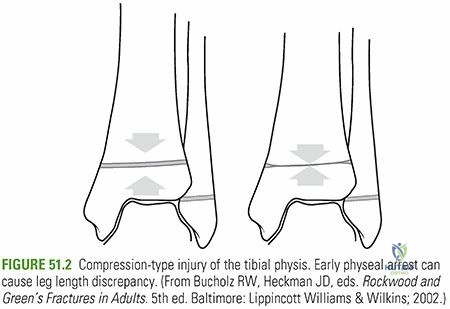Clinical Image