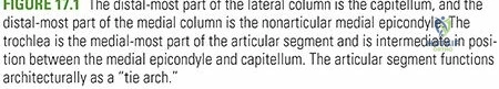 Clinical Image