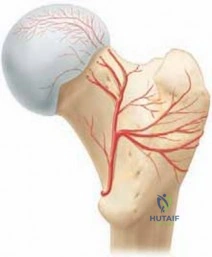 Clinical Image
