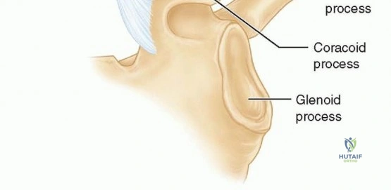 Clinical Image