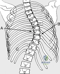 Clinical Image