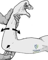 Clinical Image