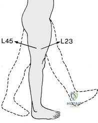 Clinical Image