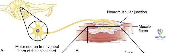 Clinical Image