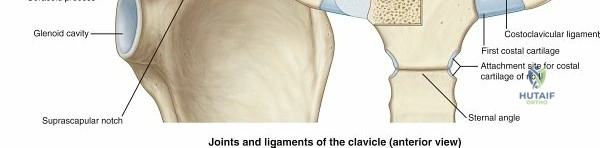 Clinical Image