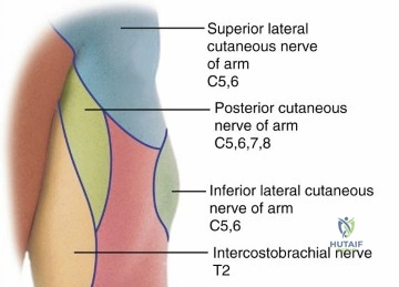 Clinical Image