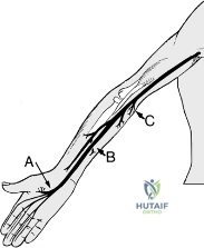 Clinical Image
