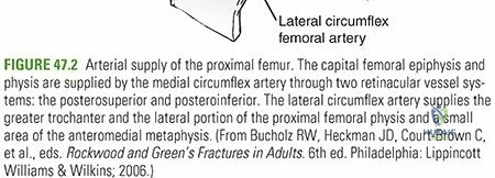 Clinical Image