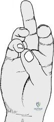 Clinical Image