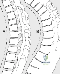 Clinical Image