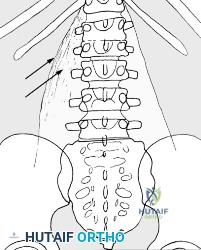 Clinical Image