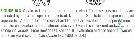Clinical Image