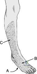 Clinical Image