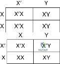 Clinical Image