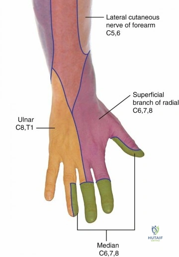 Clinical Image