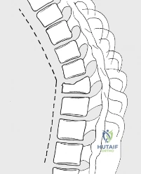 Clinical Image