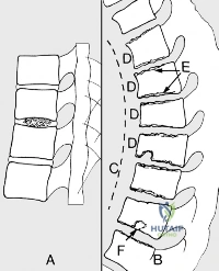 Clinical Image