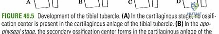 Clinical Image