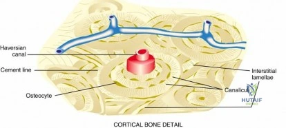 Clinical Image