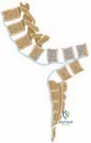 Clinical Image