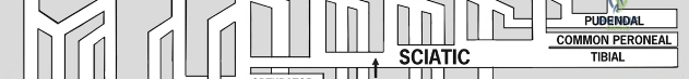 Clinical Image