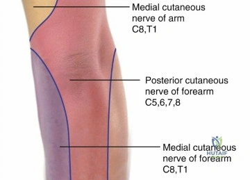 Clinical Image