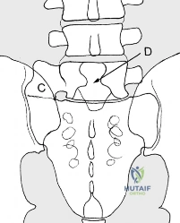 Clinical Image
