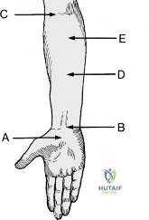 Clinical Image