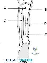 Clinical Image