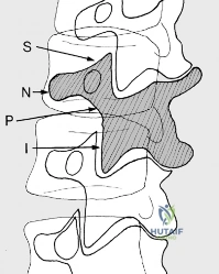 Clinical Image