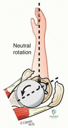 Clinical Image