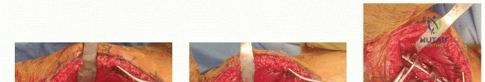 Clinical Image