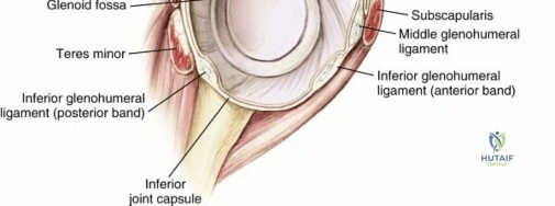 Clinical Image