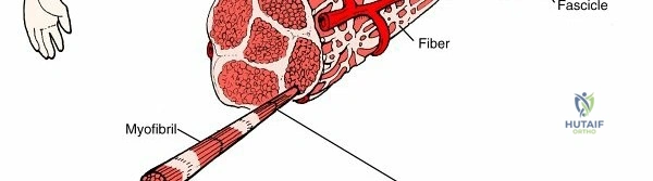 Clinical Image