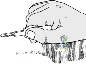 Clinical Image