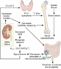 Clinical Image