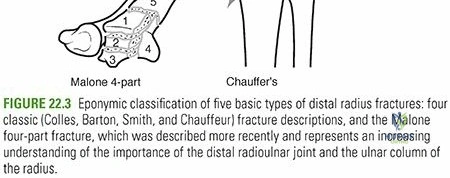 Clinical Image